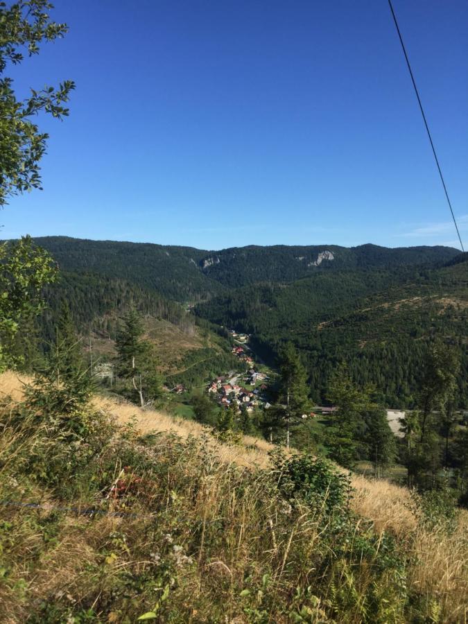 Dovolenkovy Dom Carnica Villa Mlynky Екстериор снимка