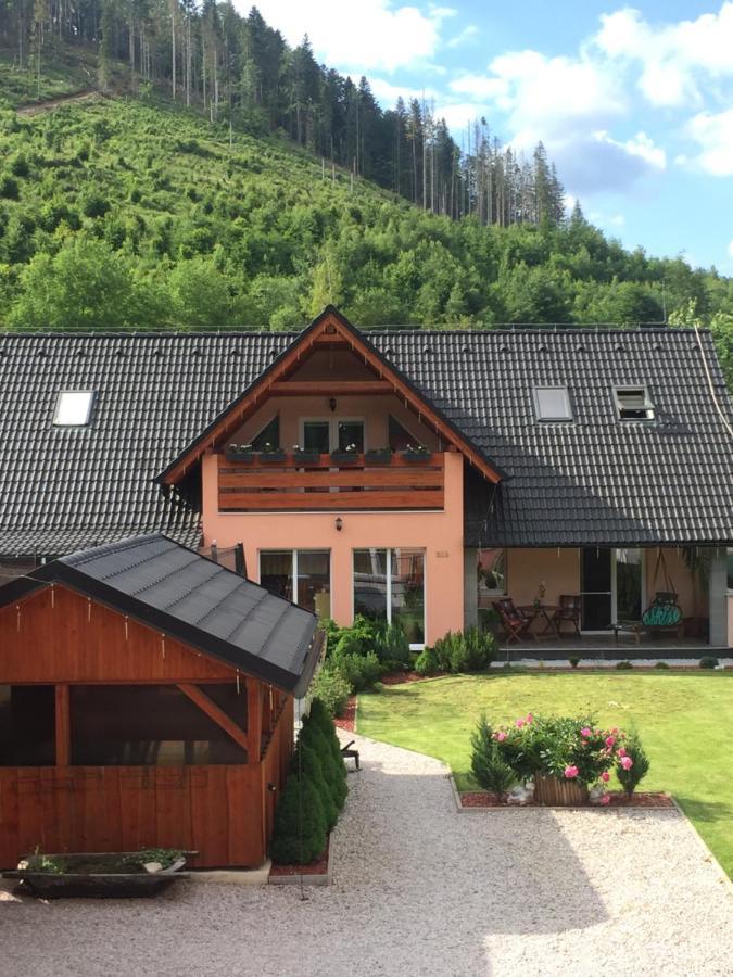 Dovolenkovy Dom Carnica Villa Mlynky Екстериор снимка